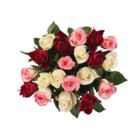 Aktuelles Rosenstrauß bunt Angebot bei Lidl in Dortmund ab 5,79 €