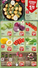 REWE Orchidee im Prospekt REWE Orchidee im Prospekt