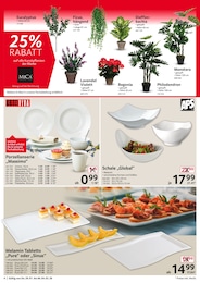 Selgros Ficus im Prospekt 