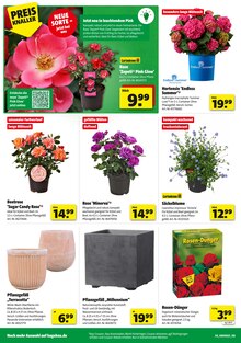 Blumentopf im aktuellen Hagebaumarkt Prospekt (Regensburg) Blumentopf im Hagebaumarkt Prospekt "SCHNAPP DIR DEIN SUPERBUNDLE" mit 20 Seiten (Regensburg)