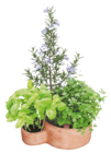 Kräuterspirale Mediterrano Angebote bei BayWa Bau- und Gartenmärkte Nürnberg für 29,99 €