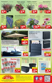 Deko im Zimmermann Prospekt in Delmenhorst Aktueller Zimmermann Prospekt mit Deko, "Aktuelle Angebote", Seite 10