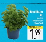 Aktuelle Pflanzen Angebote bei EDEKA in Ingolstadt Aktuelles Basilikum XL Angebot bei EDEKA in Ingolstadt ab 1,99 €