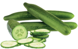 Frischemarkt Prill - Salatgurke Angebot im Prospekt Salatgurke bei Frischemarkt Prill im Prospekt "" für 0,79 €