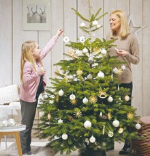 Fair Trees - Nordmanntanne bei toom Baumarkt in Unna Fair Trees - Nordmanntanne im Angebot bei toom Baumarkt Unna