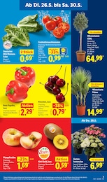 Rote Paprika Angebot & Preis im aktuellen Lidl Prospekt Rote Paprika Angebot im aktuellen Lidl Prospekt auf Seite 9
