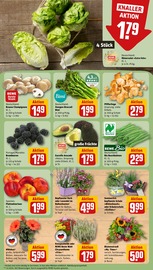 Bio im REWE Prospekt in Weimar Aktueller REWE Prospekt mit Bio, "Dein Markt", Seite 9