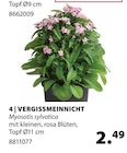 Dehner Garten-Center Altenstadt (Waldnaab) Prospekt mit  im Angebot für 2,49 €