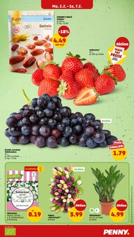 Pflanzen im aktuellen Penny Prospekt (Heidelberg) Pflanzen im Penny Prospekt "Wer günstig will, muss Penny." mit 48 Seiten (Heidelberg)