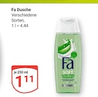 GLOBUS - Dusche Angebot im Prospekt Dusche bei GLOBUS im Prospekt "" für 1,11 €
