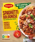 Fix Spaghetti Bolognese oder Food Travel Würzpaste für Curry Indian Style Angebote von Maggi bei REWE Dormagen für 0,44 €