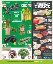 Aktueller Marktkauf Prospekt mit Thunfisch, "Aktuelle Angebote", Seite 3