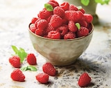 Framboise en promo chez U Express Framboise dans le catalogue U Express