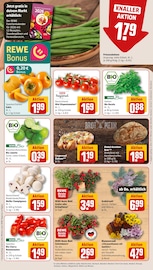 Tomaten im REWE Prospekt in Siegburg Aktueller REWE Prospekt mit Tomaten, "Dein Markt", Seite 9