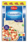 Lidl - Mozzarella XXL Angebot im Prospekt Mozzarella XXL bei Lidl im Prospekt "" für 3,15 €