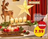 20er-LED-Weihnachtsstern im Angebot bei Penny in Haltern am See 20er-LED-Weihnachtsstern Angebote bei Penny Haltern am See für 7,99 €