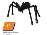 Action Langenau - Halloween-Spinne Angebot im Prospekt Halloween-Spinne bei Action im Langenau Prospekt für 1,49 €