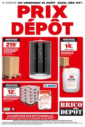 Promos Peinture dans le catalogue "PRIX DÉPÔT" de Brico Dépôt Peinture en promo dans le catalogue Brico Dépôt à la page 1
