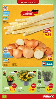 Pflanzen im Penny Prospekt "Wer günstig will, muss Penny." mit 40 Seiten (Chemnitz)