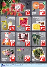 Koriander Angebot im aktuellen EDEKA Prospekt auf Seite 8