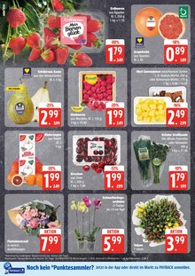 Orchidee Angebot im EDEKA Prospekt, gültig von 13.01.2025 bis 18.01.2025 Orchidee Angebot im aktuellen EDEKA Prospekt auf Seite 8