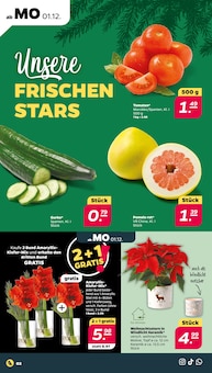 Aktueller Netto mit dem Scottie Prospekt