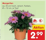 Margeriten im aktuellen Netto Marken-Discount Prospekt