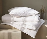 Ganzjahresbett Angebote von billerbeck bei XXXLutz Dormagen für 69,99 €