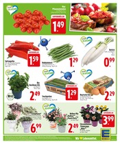 Paprika im EDEKA Prospekt in Passau Aktueller EDEKA Prospekt mit Paprika, "APPsolut fantastisch!", Seite 5