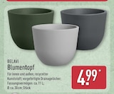 Aktuelles Blumentopf Angebot bei ALDI Nord in Bielefeld ab 4,99 €