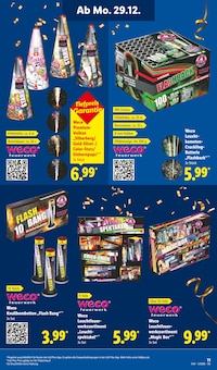 Pflanzen im Lidl Prospekt "Guten Rutsch ins neue Jahr 2026" mit 16 Seiten (Mönchengladbach)