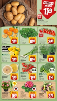 Kartoffeln im aktuellen REWE Prospekt (Leipzig) Kartoffeln im REWE Prospekt "Dein Markt" mit 22 Seiten (Leipzig)