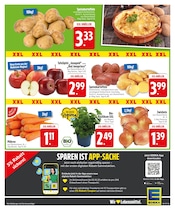Aktueller EDEKA Prospekt mit Kartoffeln, "Noch kein °Punktesammler? Hier direkt anmelden!", Seite 5