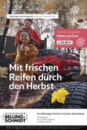 Aktueller Volkswagen Werkstatt & Auto Prospekt in Hitzacker und Umgebung, "Mit frischen Reifen durch den Herbst" mit 1 Seite, 01.09.2024 - 30.11.2024