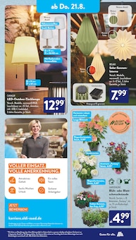Hortensie Angebot im aktuellen ALDI SÜD Prospekt auf Seite 23