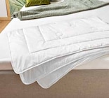 Sommerbett "Bel Air" im Segmüller Prospekt Sommerbett "Bel Air" von billerbeck im aktuellen Segmüller Prospekt für 74,99 €
