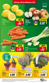 Bio im Lidl Prospekt in Ravensburg Aktueller Lidl Prospekt mit Bio, "LIDL LOHNT SICH", Seite 3