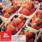 Fraise Gariguette à Netto dans Theneuille