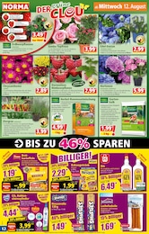Sodastream Angebot & Preis im aktuellen Norma Prospekt Sodastream Angebot im aktuellen Norma Prospekt auf Seite 13