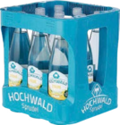 Globus-Baumarkt Homburg - Limonaden Angebot im Prospekt Limonaden bei Globus-Baumarkt im Homburg Prospekt für 4,79 €