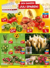 Ähnliche Zugluftstopper Angebote im Prospekt "Aktuelle Angebote" von Netto Marken-Discount in Heilbronn Ähnliche Angebote wie Zugluftstopper im Prospekt "Aktuelle Angebote" auf Seite 7 von Netto Marken-Discount in Heilbronn