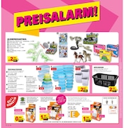 Aktueller Marktkauf Prospekt mit Beleuchtung, "Aktuelle Angebote", Seite 36