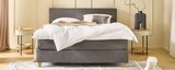 Aktuelles Boxspringbett Angebot bei Höffner in Bonn ab 1.299,00 €