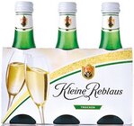 Kleine Reblaus  im aktuellen Netto mit dem Scottie Prospekt für 2,79 €