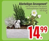 Allerheiligen-Arrangement im Angebot bei EDEKA in Heidenheim Allerheiligen-Arrangement Angebote bei EDEKA Heidenheim für 14,99 €