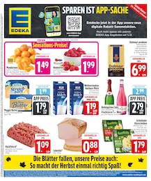 EDEKA Prospekt für Schwandorf mit 28} Seiten EDEKA Prospekt für Schwandorf: "Noch kein °Punktesammler? Hier direkt anmelden!", 28 Seiten, 29.09.2025 - 04.10.2025