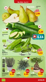 Zucchini im Penny Prospekt in Wolfsburg Aktueller Penny Prospekt mit Zucchini, "Wer günstig will, muss Penny.", Seite 3