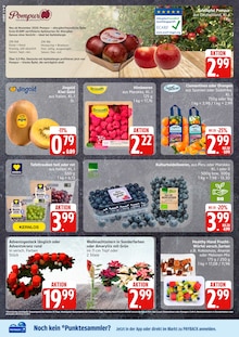 Pflanzen im EDEKA Prospekt "Top Angebote" mit 27 Seiten (Lübeck)