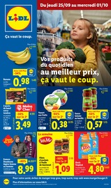 Catalogue Supermarchés Lidl en cours à Baccarat et alentours, "Vos produits du quotidien au meilleur prix, ça vaut le coup.", 73 pages, 25/09/2025 - 01/10/2025