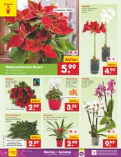 Aktueller Netto Marken-Discount Prospekt mit Garten, "Aktuelle Angebote", Seite 6